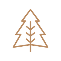 Pine Wood Frame